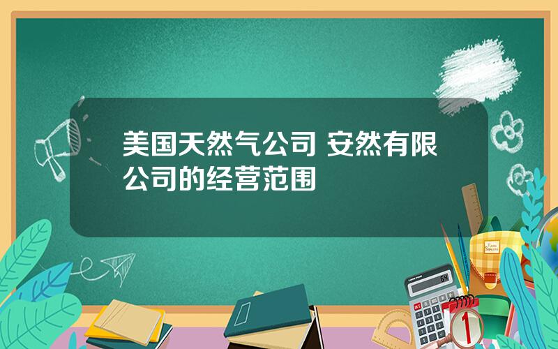 美国天然气公司 安然有限公司的经营范围